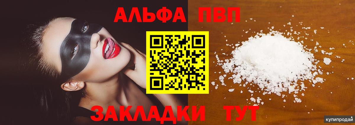 Alfa_PVP СК Тольятти