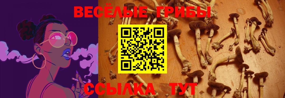 Псилоцибиновые грибы мицелий Тольятти
